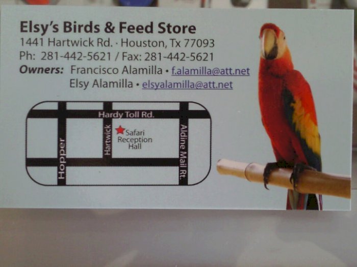 Elsy's birds best sale & feed store